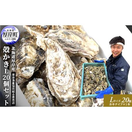 ふるさと納税 厚岸産 殻かき L 20個セット 北海道 牡蠣 カキ かき 生食  北海道厚岸町