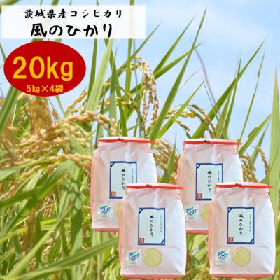 ふるさと納税 かすみがうら市 茨城県産コシヒカリ風のひかり20kg(5kg×4袋)