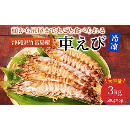 ふるさと納税 2024年 先行予約 車えび 3kg 竹富島産 冷凍 エビ 沖縄県竹富町