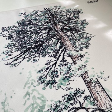 2026 自然筆記年曆掛布-臺灣杉