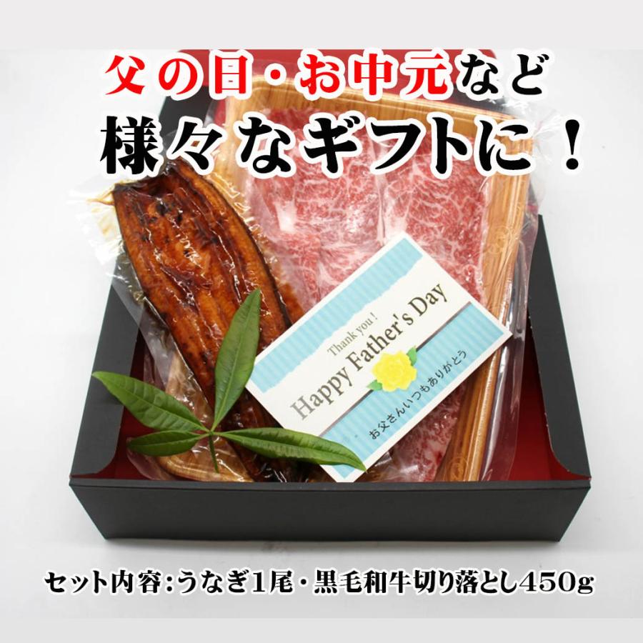 御歳暮 ギフト「鰻 ＆ 黒毛和牛切り落とし」かごしま温泉うなぎ 蒲焼き 黒毛和牛 肩バラ モモ 切り落とし