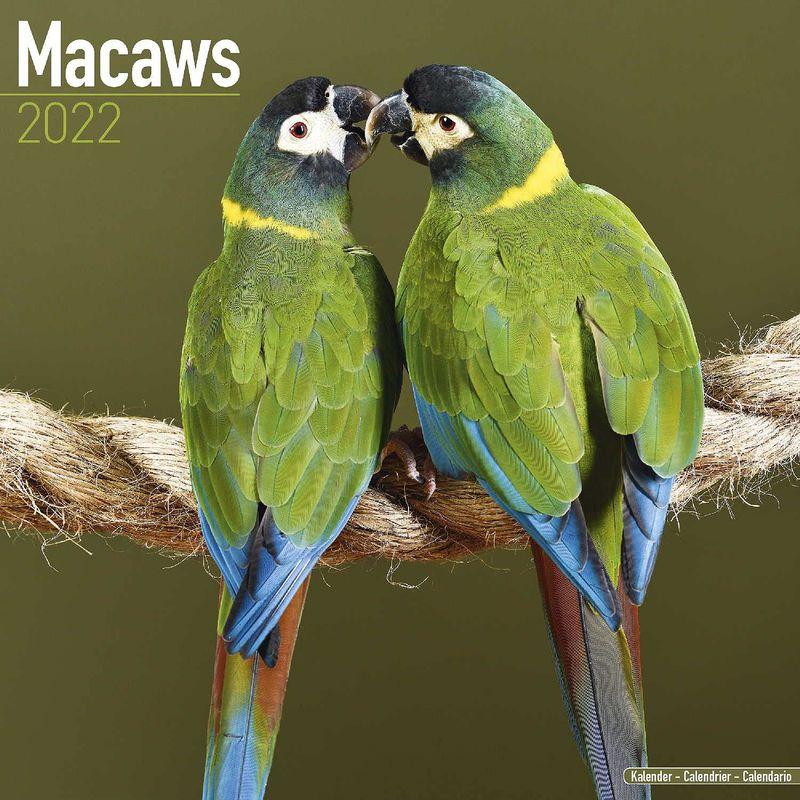 Macaws Wall Calendar