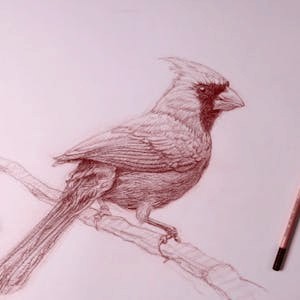 How to Draw: A Beginner’s Guide Pt 3 – Drawing in Practice