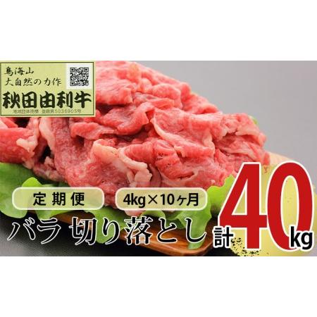 ふるさと納税 《定期便》10ヶ月連続 秋田由利牛 バラ切り落とし 4kg（1kg×4パック） 秋田県にかほ市