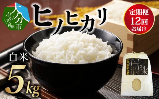 丹生米の里 丹川のお米 ヒノヒカリ白米 5kg×12回お届け定期便