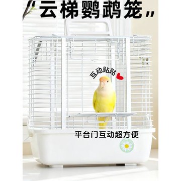 刺星球鸚鵡云梯外帶小鳥外帶籠橫線大空間外出籠鳥籠蜜袋鼯手提籠