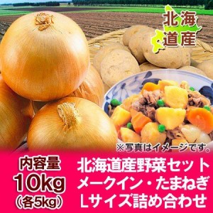 野菜セット 北海道産 じゃがいも メークイン・玉ねぎ 10kg 各5kg Lサイズ 野菜 セット 詰め合わせ