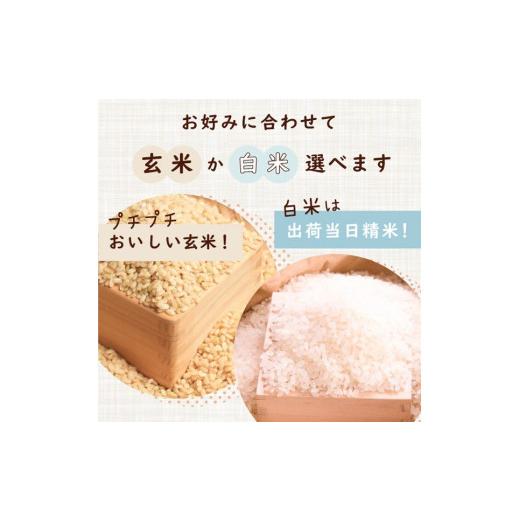 ふるさと納税 滋賀県 長浜市 令和5年 滋賀県湖北産 湖北のみずかがみ 27kg(白米)