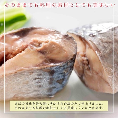 缶詰 魚 防災 鯖缶 水煮缶 12缶 セット 宝幸 HOKO 日本のさば サバ缶 鯖 サバ さば 水煮 12缶セット 缶詰め 缶づめ おつまみ ご挨拶 ご進物 手土産 内祝 ギフトセット 非常食 一品料理 災害 便利 おいしい 副菜 おかず