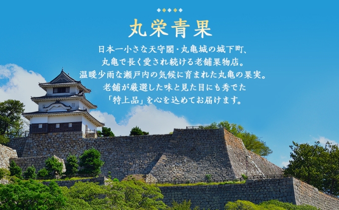 フルーツ 定期便 城下町の果実12回定期便 「豪果絢爛」（数量限定品）旬のお届け 果物 果物類 シャインマスカット 桃 キウイ ぶどう みかん 旬 詰め合わせ