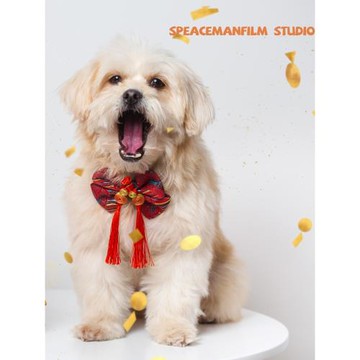 紅色結婚禮宴喜慶蝴蝶結萌寵物泰迪貓咪項圈小中大狗狗緞面高檔領