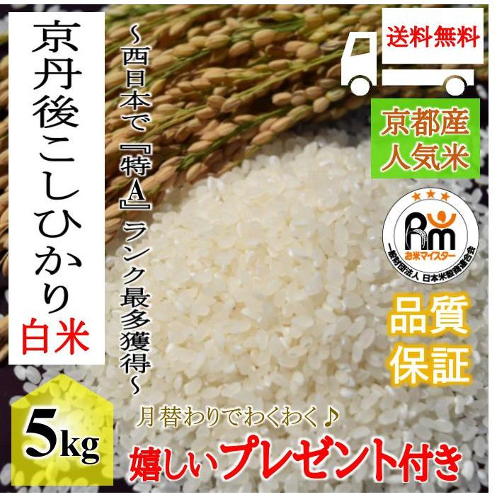 お米 5kg 京丹後 こしひかり 5kg×1袋 令和4年産 熨斗無料 ギフト グルメ お礼 お祝い お中元 お歳暮 嬉しいプレゼント付き 送料無料