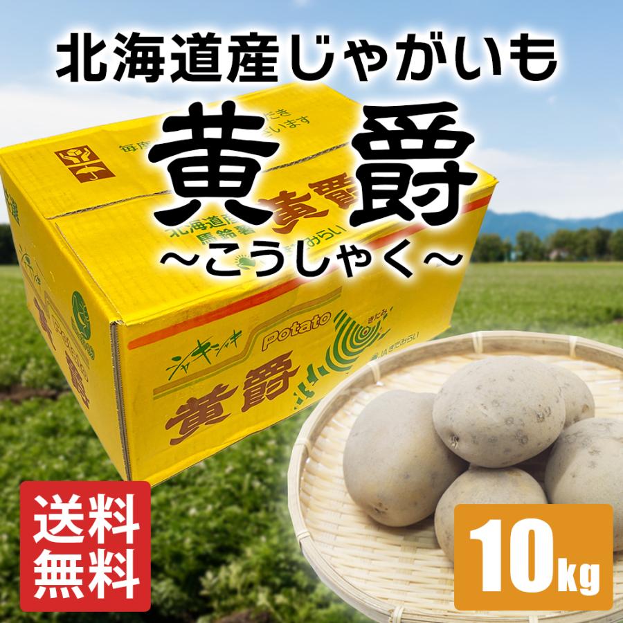 甘くてホクホク黄爵(こうしゃく) とうや シャキシャキ！ 絶品じゃがいも 北海道産 約10kg Lサイズ 丸形 馬鈴薯 丸進青果セレクト