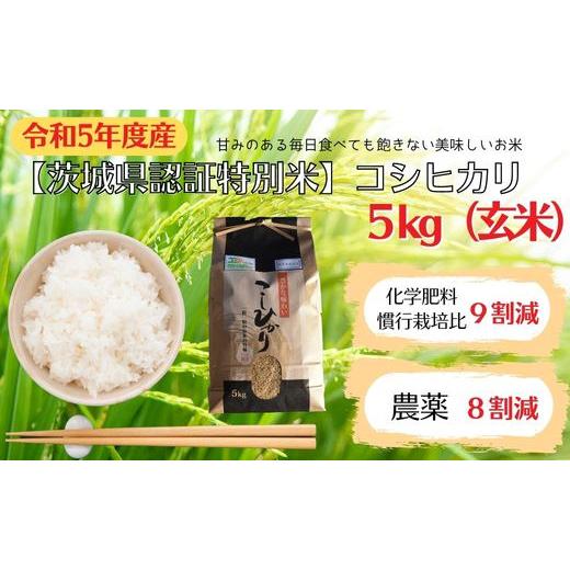 ふるさと納税 茨城県 利根町 　コシヒカリ　5kg（玄米）