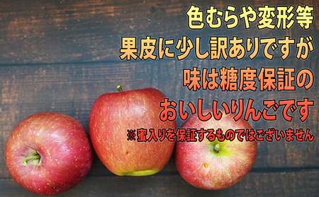 2月発送 訳あり EM葉取らずサンふじ約10kg 糖度13度以上　