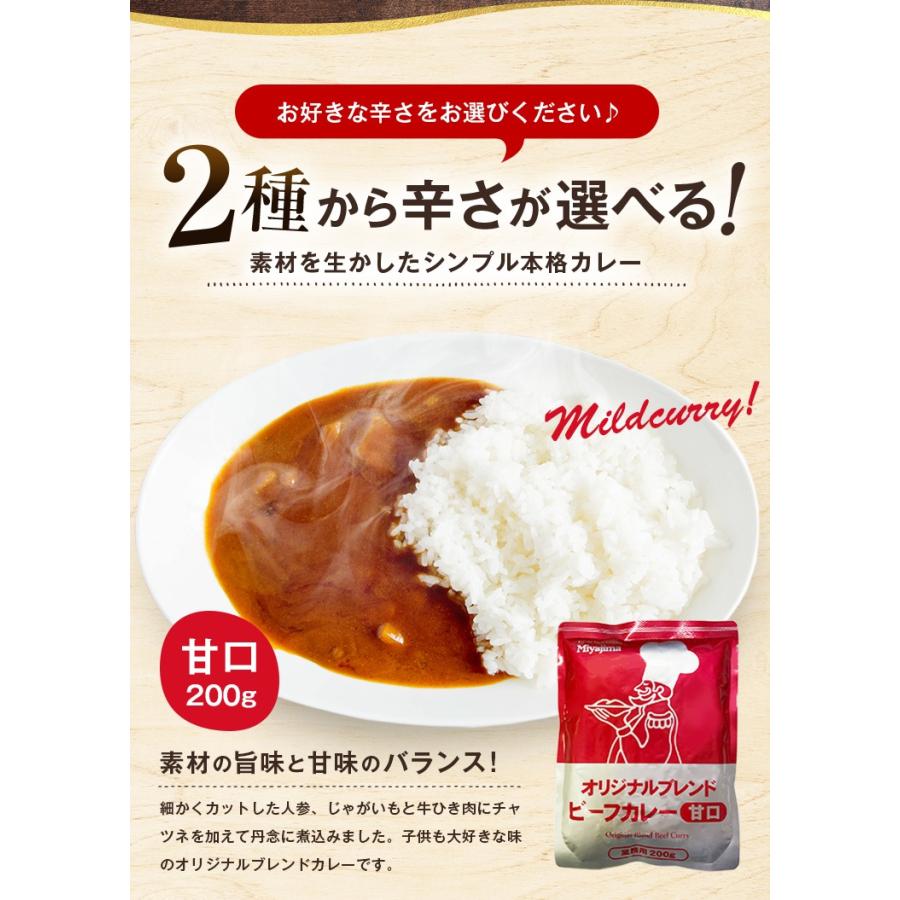 選べる ビーフカレー 200g×3袋 甘口 辛口 オリジナルブレンド 送料無料 レトルト食品 業務用 お取り寄せ ご飯のお供 ポイント消化 人気には 訳あり [メール便]