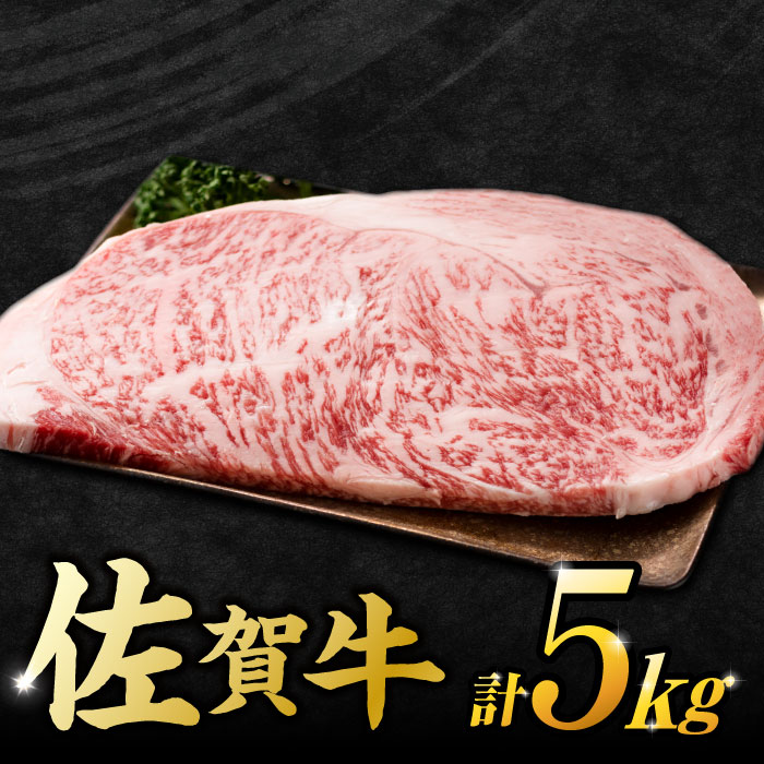 訳アリ ！ 佐賀牛 サーロインステーキセット 5kg （ 250g 2枚入り×10パック） 吉野ヶ里町 [FDB012]