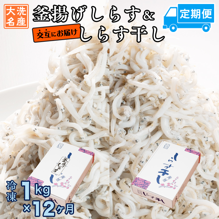 釜揚げしらす しらす干し 交互 定期便 (1kg×12か月) 天然 ふっくら 大洗 名産 しらす シラス 魚 さかな 魚介 離乳食