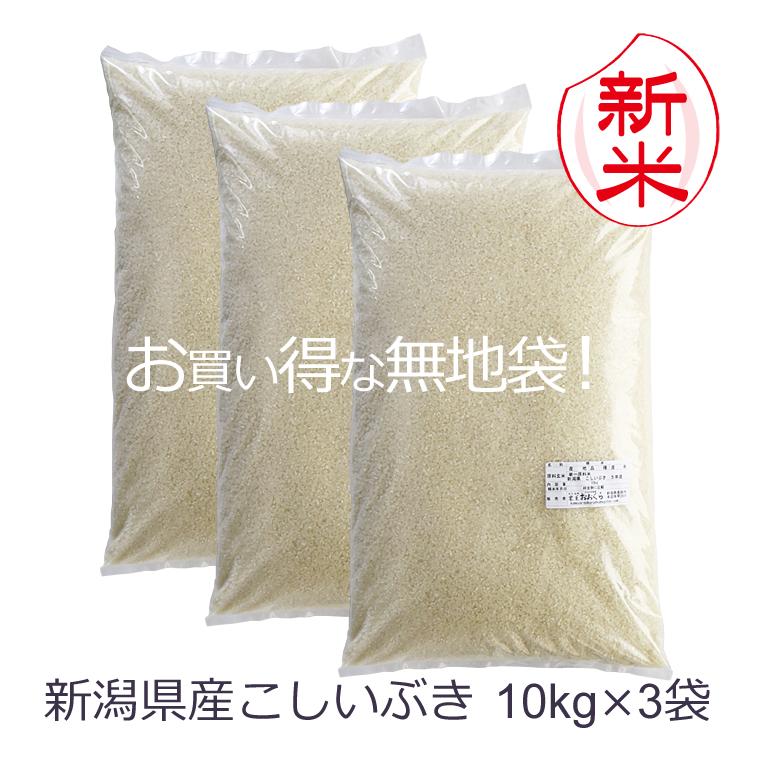 お米 30kg 白米  新潟県産 こしいぶき （ 令和5年産 ） 30kg （10kg×3袋）
