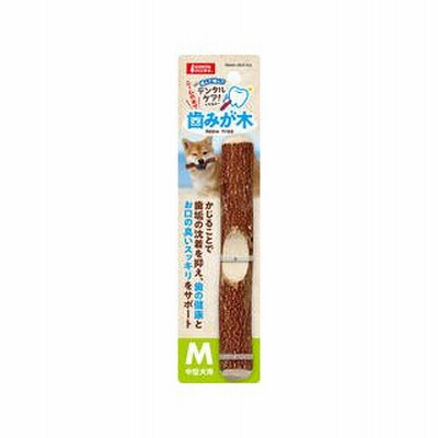 株式会社 マルカン  ＤＡ−０９２　歯みが木Ｍ