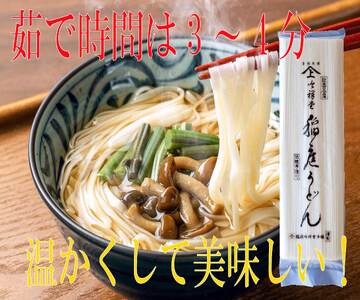 手造り稲庭うどん500g 5袋 （30人前セット）[B5-0301]