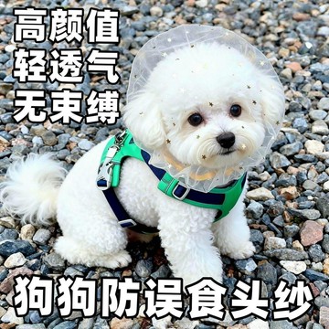 🚀隔日出🔥5.18防偷吃 亂吃 透氣網紗 面罩 狗狗頭套 小型犬 泰迪 比熊 防咬 防誤食 麪罩 防舔嘴套 5個顏色