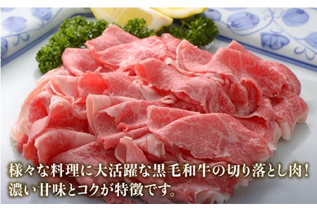 人気爆発中！！！ 佐賀県産 黒毛和牛 切り落とし 1,000g (500g×2パック)  吉野ヶ里町 石丸食肉産業[FBX001]