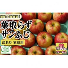  家庭用　葉取らずサンふじ 約10kg 青森県産りんご