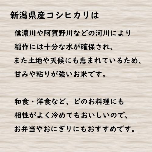 送料無料 令和５年産 新潟県産コシヒカリ 10kg(5kg×2) おこめ 精米 新潟