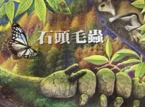 石頭毛蟲[二手書_良好]