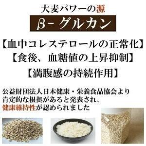 国内産もっちもち大麦 950g×10袋 チャック付き α化処理 ポイント消化 雑穀米 食品 美容 ダイエット 国産 送料無料 ※北海道・沖縄の方は別途送料加算