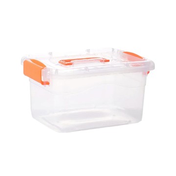 透明手提收納箱 Set 2  大(29 x 16 x 20cm)  C094  1組