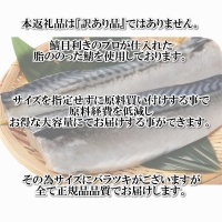 AB346.バラ凍結で便利！塩さば＆銀鮭ミックス（合計約2.5kg）