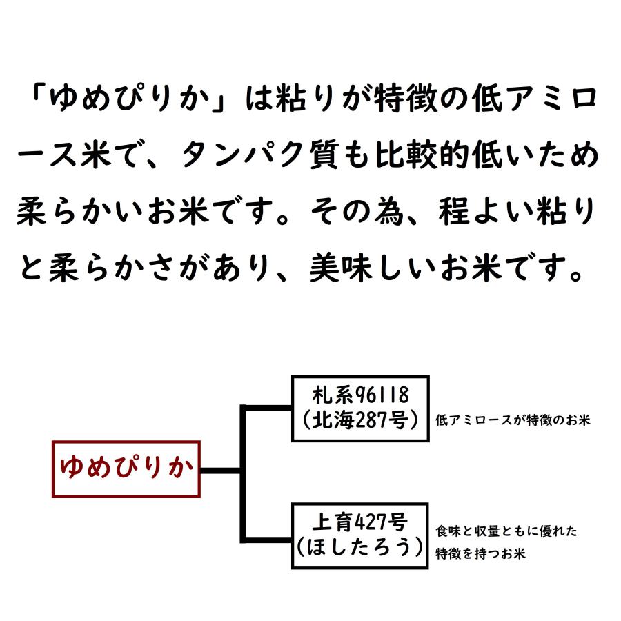 ゆめぴりか 北海道産 5kg 令和5年産 白米