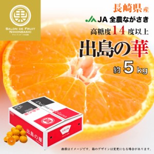 [予約 2023年 12月5日頃から発送] 出島の華 みかん SML 約 5kg 長崎県 JAながさき 高糖度 長崎 ミカン 高級 産地箱 高品位 冬ギフト お歳