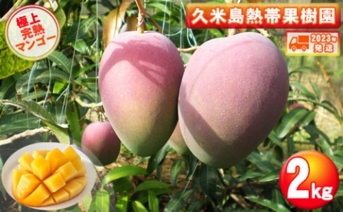 久米島熱帯果樹園 極上完熟マンゴー2kg（3～5玉）