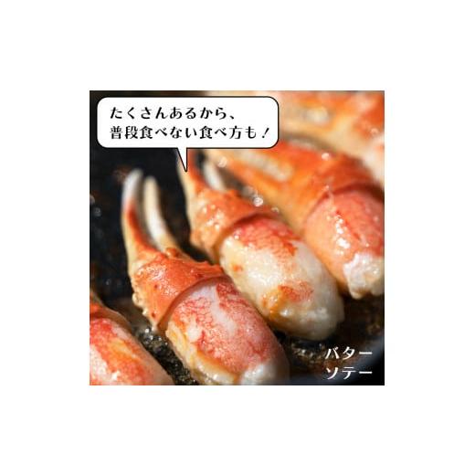 ふるさと納税 茨城県 大洗町 ボイル 本ずわいがに 爪 1kg (500g × 2) カジマ ずわい蟹 ズワイガニ ずわいがに かに カニ 蟹 かに爪 カニ爪