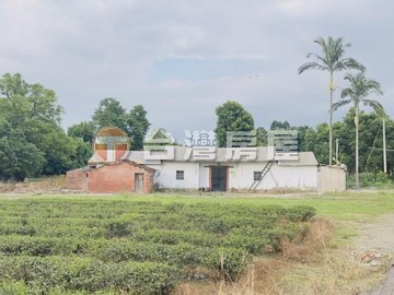 古色古香平房+農茶園｜桃園市龍潭區三林段