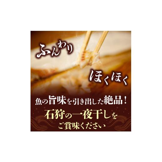 ふるさと納税 北海道 石狩市 7-027 旨塩 いしかり一夜干しセット（カレイ・ホッケ・にしん・4枚入）