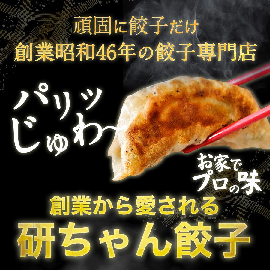 餃子 取り寄せ 送料無料 業務用 冷凍 生餃子 国産素材 たらふくセット 100個入