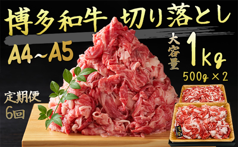 定期便 6ヶ月 牛肉 A4～A5 切り落とし 合計1000g 博多和牛（500g×2p）肩ロース 赤身 バラ カルビ 小分け 大好評につき継続！6回 配送不可：離島