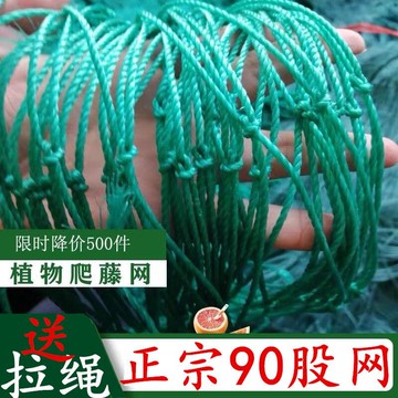 🔥在臺出貨🔥植物爬藤網種植網月季羅漢果絲瓜苦瓜吊瓜葡萄百香果攀爬網搭架網