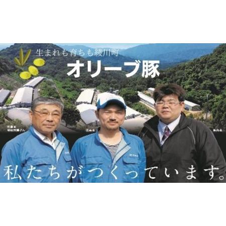 ふるさと納税 オリーブ豚　肩ロースブロック500g 香川県綾川町