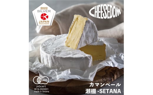 CHEESEDOM(チーズダム)のチーズ5種セット