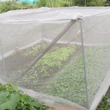 【防蟲套袋】植物防蟲網罩果樹防蟲放白粉蝨防鳥防曬網套蔬菜防果蠅套袋網紗網00