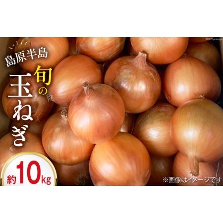 ふるさと納税  玉ねぎ 10kg   まるまさ   長崎県 雲仙市 [item0990]   たまねぎ オニオン タマネギ 野菜 期間限定 .. 長崎県雲仙市