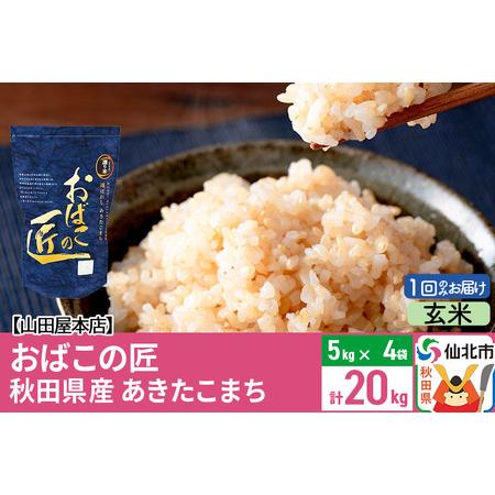 ふるさと納税 令和5年産 仙北市産 おばこの匠 20kg秋田県産あきたこまち 秋田県仙北市