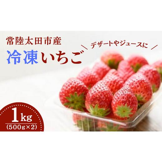 ふるさと納税 茨城県 常陸太田市 桧山FRUITFARM 冷凍いちご １kg（500g×２袋）いちご農家さんからの直送品　【茨城県 常陸太田 いちご いば…