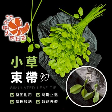 【現貨&限時免運中】小草束帶 小草 樹葉束帶 車牌裝飾 機車裝飾 紮線帶 理線帶 綁線帶 捆線帶 塑膠束帶 葉子束帶