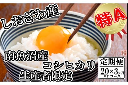 生産者限定 契約栽培 南魚沼しおざわ産コシヒカリ